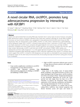 A Novel Circular RNA, Circxpo1, Promotes Lung Adenocarcinoma