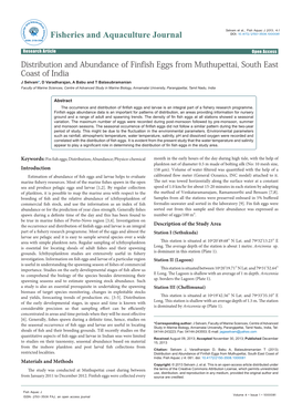 Distribution and Abundance of Finfish Eggs from Muthupettai, South East