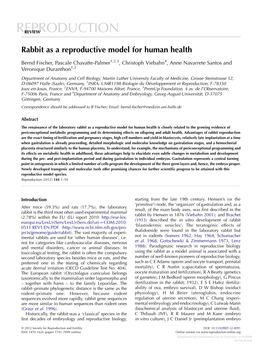 Rabbit As a Reproductive Model for Human Health