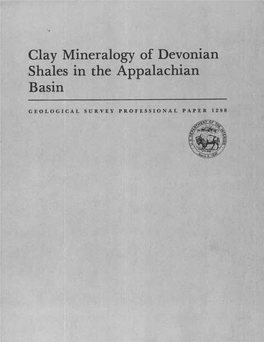 Clay Mineralogy of Devonian Shales in the Appalachian Basin
