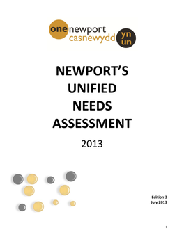 Newport's Unified Needs Assessment