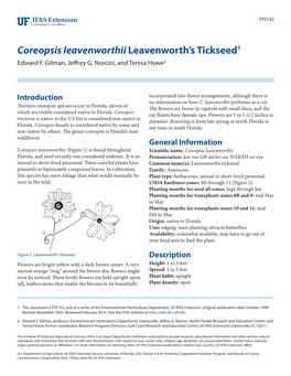 Coreopsis Leavenworthii Leavenworth's Tickseed1