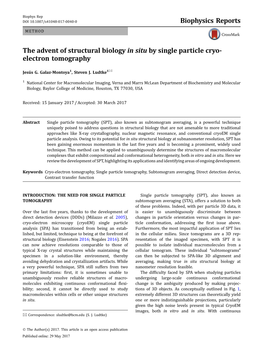 The Advent of Structural Biology in Situ by Single Particle Cryo-Electron