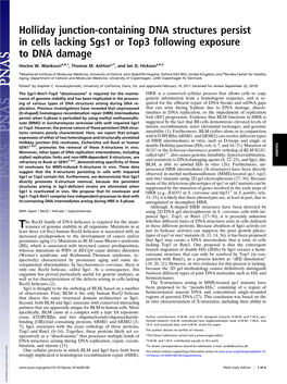 Holliday Junction-Containing DNA Structures Persist in Cells Lacking Sgs1 Or Top3 Following Exposure to DNA Damage