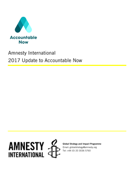 Amnesty International Interim Accountability