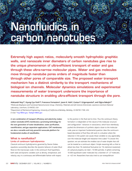 Nanofluidics in Carbon Nanotubes