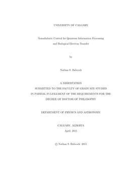 Nonadiabatic Control for Quantum Information Processing And