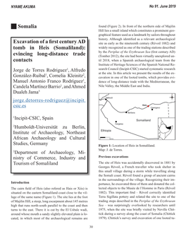 Somalia Excavation of a First Century AD Tomb in Heis (Somaliland): Evincing Long-Distance Trade Contacts