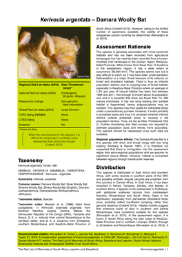 Kerivoula Argentata – Damara Woolly Bat