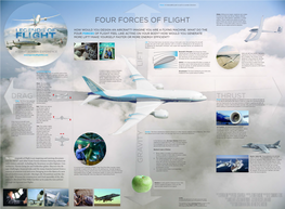 Thrust Drag Lift Gra Vity Four Forces of Flight