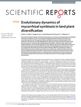 Evolutionary Dynamics of Mycorrhizal Symbiosis in Land Plant Diversification