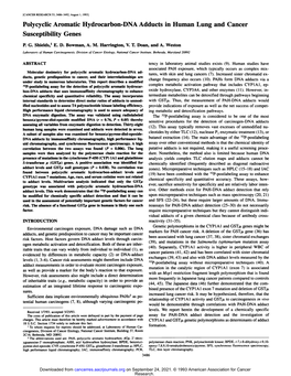 Polycyclic Aromatic Hydrocarbon-DNA Adducts in Human Lung and Cancer Susceptibility Genes P