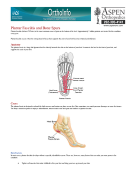 Plantar Fasciitis and Bone Spurs Plantar Fasciitis (Fashee-EYE-Tiss) Is the Most Common Cause of Pain on the Bottom of the Heel