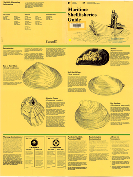 Shellfish Harvesting Information