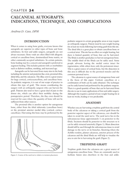 Calcaneal Autografts: Indications, Technique, and Complications