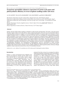 Exogenous Spermidine Enhances Expression of Calvin Cycle Genes and Photosynthetic Efficiency in Sweet Sorghum Seedlings Under Salt Stress