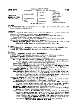 Lot 318 the Property of Mr
