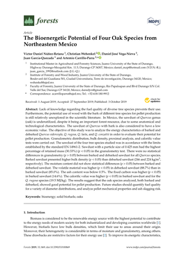 The Bioenergetic Potential of Four Oak Species from Northeastern Mexico