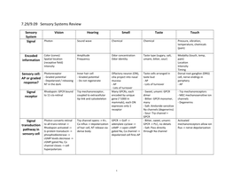 Sensory Systems Review