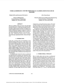 Cubical Homology and the Topological Classification of 2D and 3D Imagery