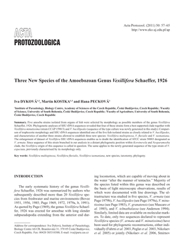 Three New Species of the Amoebozoan Genus Vexillifera Schaeffer, 1926