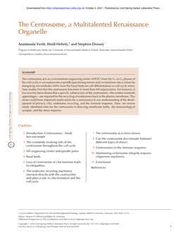 The Centrosome, a Multitalented Renaissance Organelle