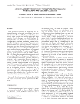 Molecular Identification of Fomitiporia Mediterranea on Declining and Decayed Hazelnut