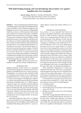 Will Adult Feeding Damage Rule out Introducing Mecysolobus Erro Against Buddleia Into New Zealand?
