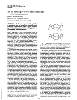 An All-Purine Precursor of Nucleic Acids