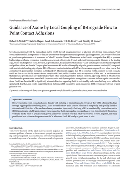 Guidance of Axons by Local Coupling of Retrograde Flow to Point Contact Adhesions