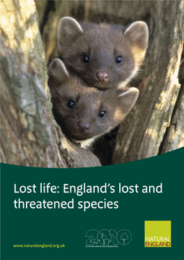 Lost Life: England's Lost and Threatened Species
