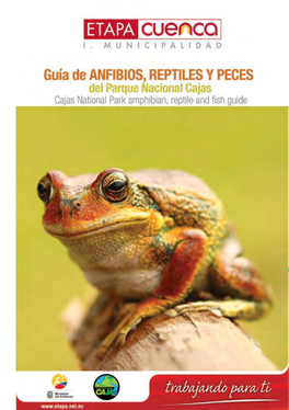 Guía De Anfibios, Reptiles Y Peces Del Parque Nacional Cajas
