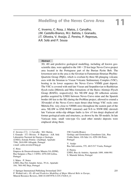 Modelling of the Neves Corvo Area 11 C