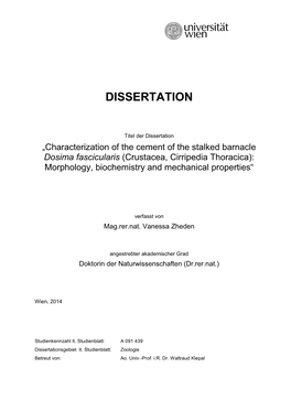 Dissertation