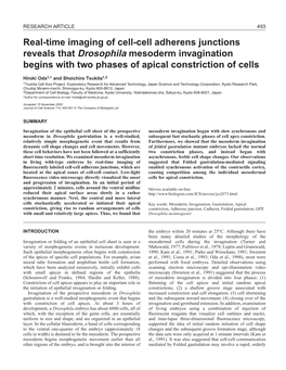 Drosophila Mesoderm Invagination Begins with Two Phases of Apical Constriction of Cells