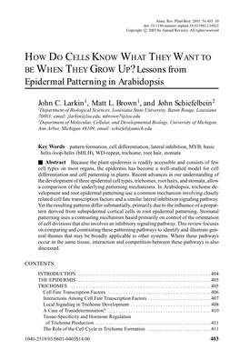 Lessons from Epidermal Patterning in Arabidopsis
