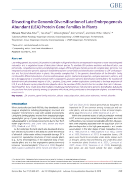 (LEA) Protein Gene Families in Plants