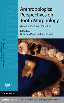 Anthropological Perspectives on Tooth Morphology