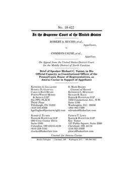 (R. Raile)\18-422 Amicus Brief.Wpd