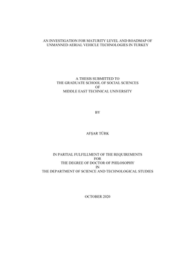 An Investigation for Maturity Level and Roadmap of Unmanned Aerial Vehicle Technologies in Turkey