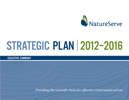 Strategic Plan