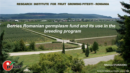 Berries Romanian Germplasm Fund and Its Use in the Breeding Program