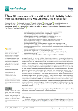A New Micromonospora Strain with Antibiotic Activity Isolated from the Microbiome of a Mid-Atlantic Deep-Sea Sponge