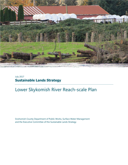 Lower Skykomish River Reach-Scale Plan