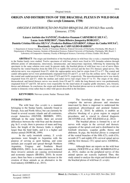 ORIGIN and DISTRIBUTION of the BRACHIAL PLEXUS in WILD BOAR (Sus Scrofa Linnaeus , 1758)