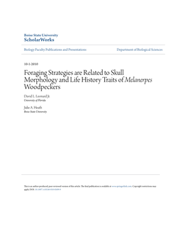Foraging Strategies Are Related to Skull Morphology and Life History Traits of Melanerpes Woodpeckers David L