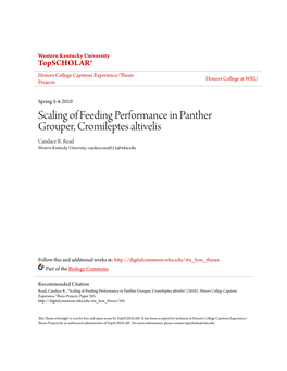 Scaling of Feeding Performance in Panther Grouper, Cromileptes Altivelis Candace R