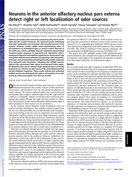 Neurons in the Anterior Olfactory Nucleus Pars Externa Detect Right Or Left Localization of Odor Sources