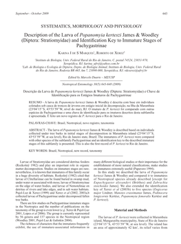 Description of the Larva of Popanomyia Kerteszi James & Woodley (Diptera: Stratiomyidae) and Identification Key to Immature Stages of Pachygastrinae