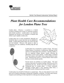 Plant Health Care Recommendations for London Plane Tree